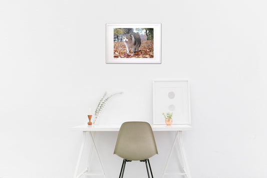 落葉の絨毯の上で♪