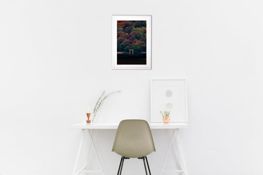 弁天の森晩秋艶姿