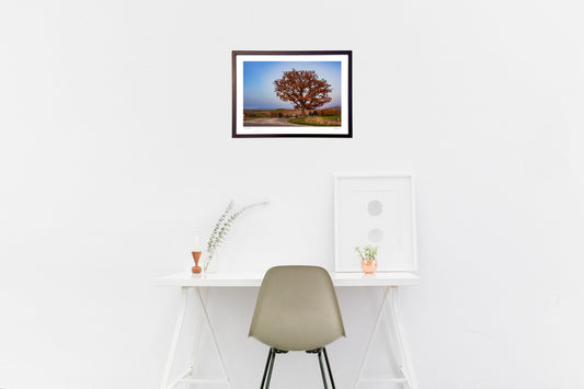 セブンスターの木