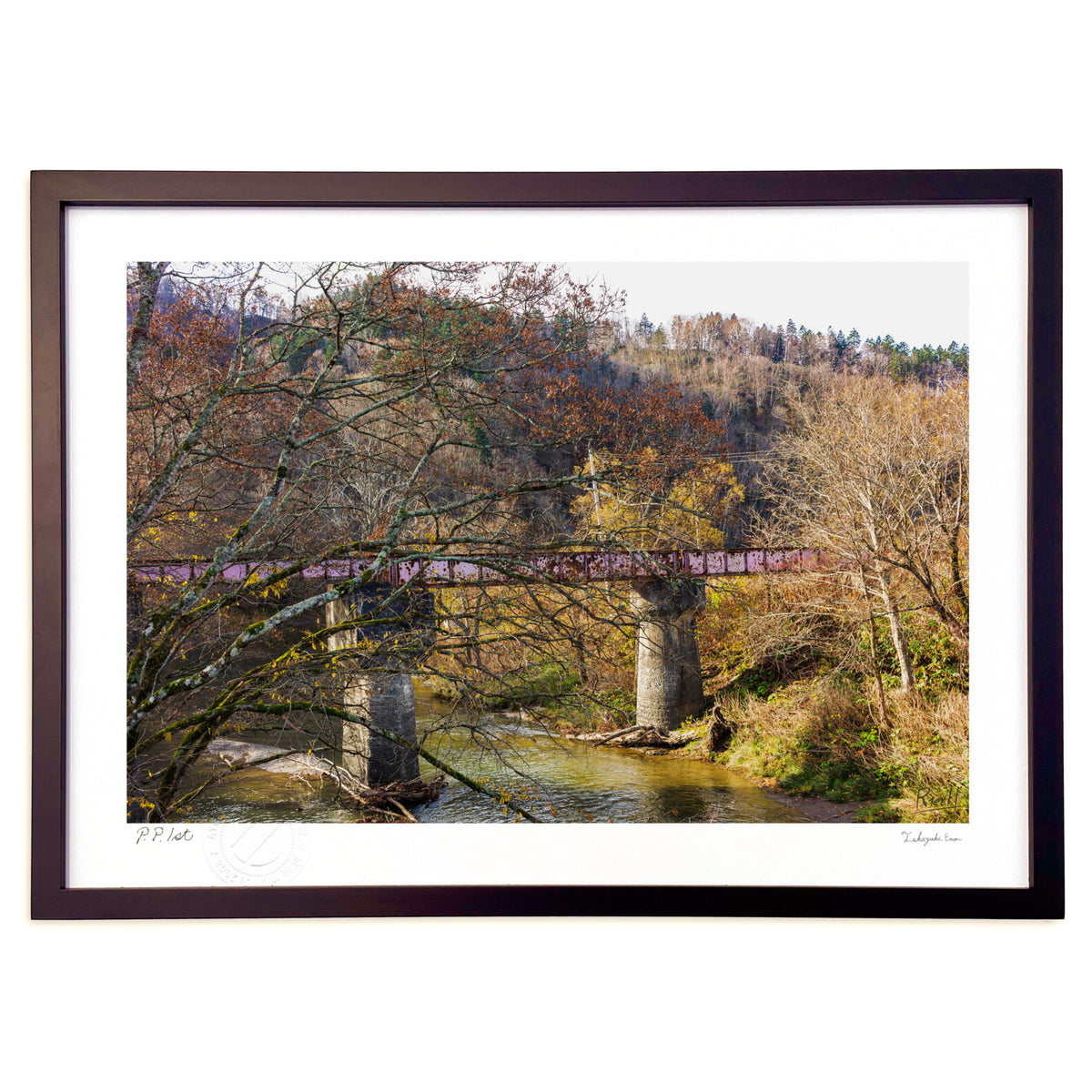 Railway bridge ruins