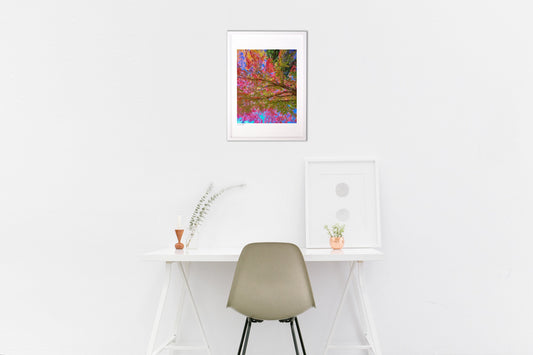 見上げたらそこに