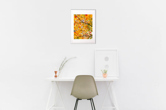 明るく、楽しく