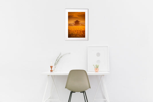 朝霧につつまれて。