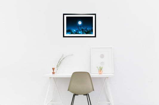 満月とネモフィラ