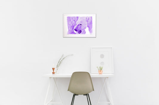 ホッキョクグマー凍てつく