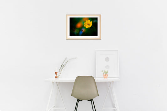 夢で出会った花