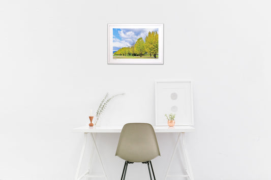 未完の銀杏並木道2