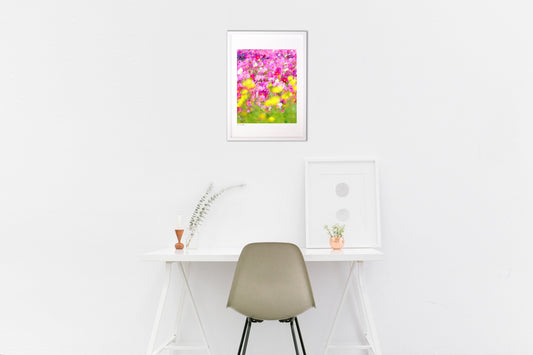 幸せなコスモス畑