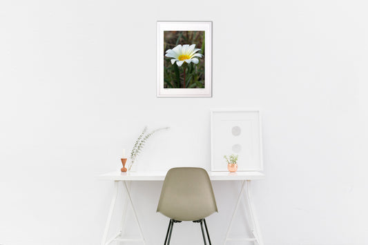 A single flower