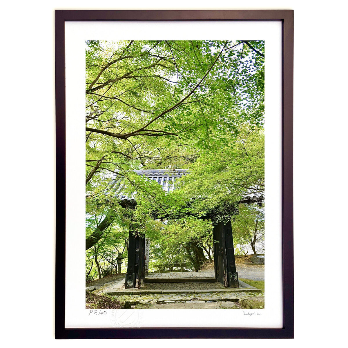 Autumn leaves and Kuromon Gate 2