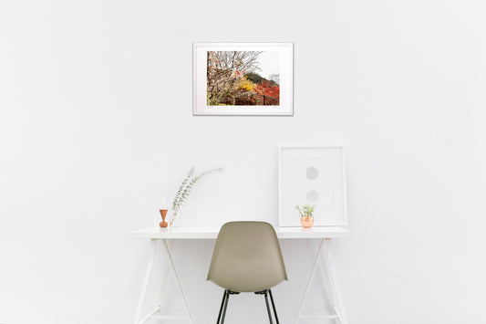 秋のコラボレーション