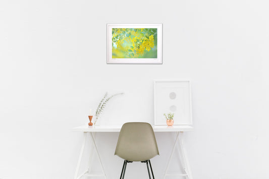 版画 ミモザ日和