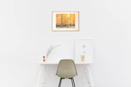 秋色メタセコイア