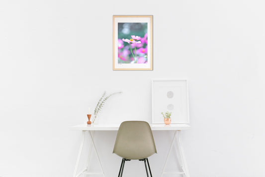 私はバレリーナ