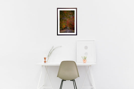 秋の風景 紅葉に覆われた道