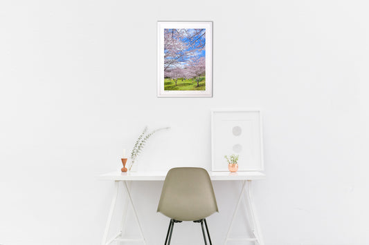 春のピクニック