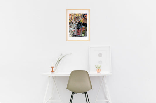 ガラスのリフレクション