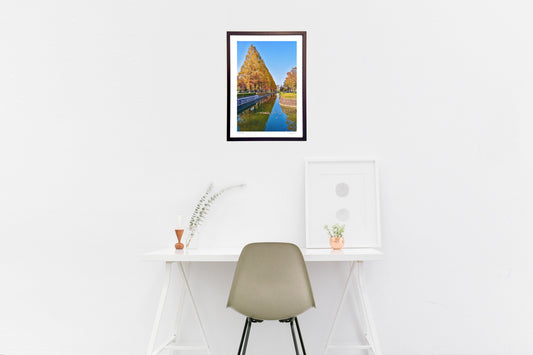 メタセコイアのリフレ