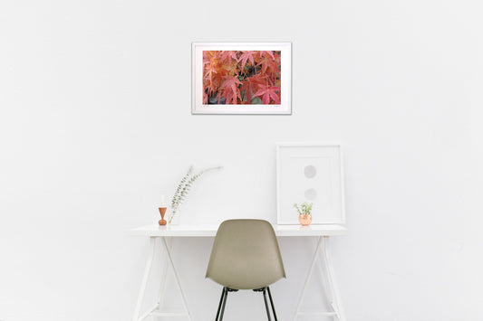 11月の終わりの紅葉