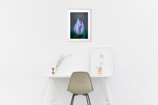 淡きクラウディア