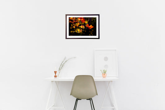 木漏れ陽の森の内で