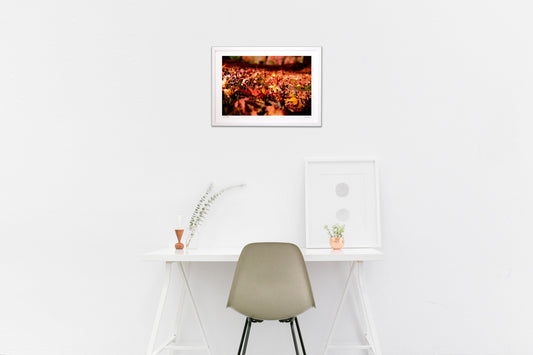 A carpet of autumn leaves