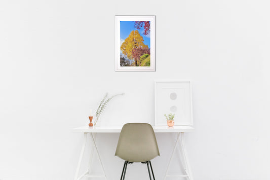 初冬の昼下がり