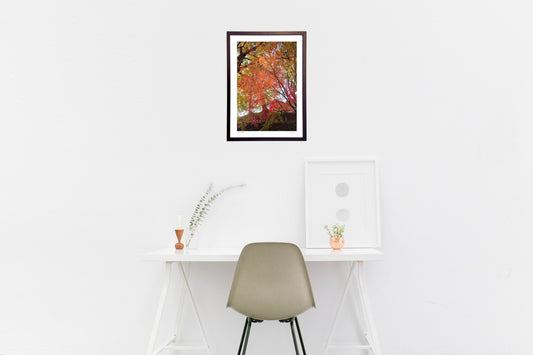 夕陽に染まる紅葉2