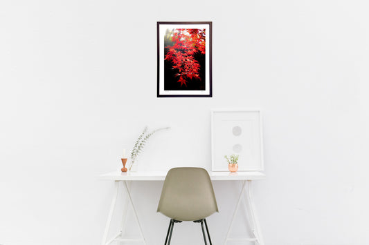 12月10日 わが町にて