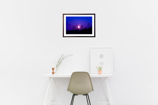 風が...其の二 竹藪と夕陽