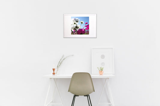 太陽に向かって