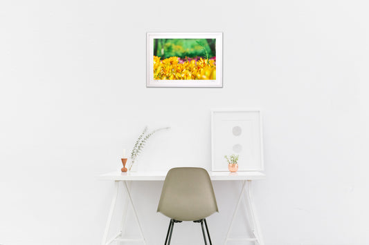 元気に咲きみだれる