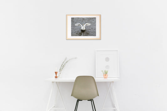 蝶のように舞い蜂のように刺す