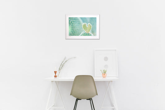 サボテンからのラブレター