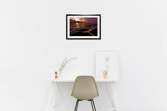 写真 夕焼けのラグーンで出会ったサメ#3(横)