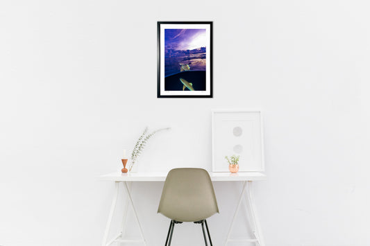 写真 夕焼けのラグーンで出会ったサメ#7(縦)