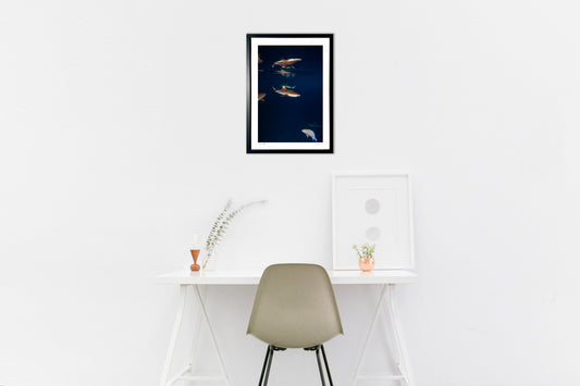 写真 夕焼けのラグーンで出会ったサメ#8(縦)