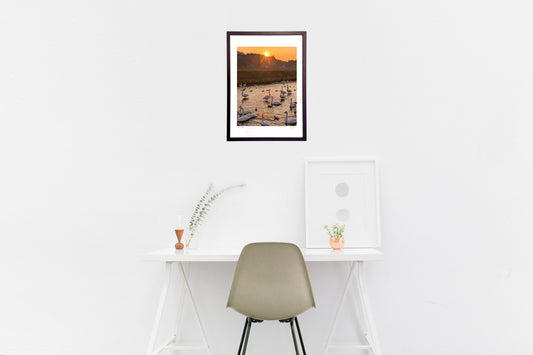 白鳥も夕焼けに染まる