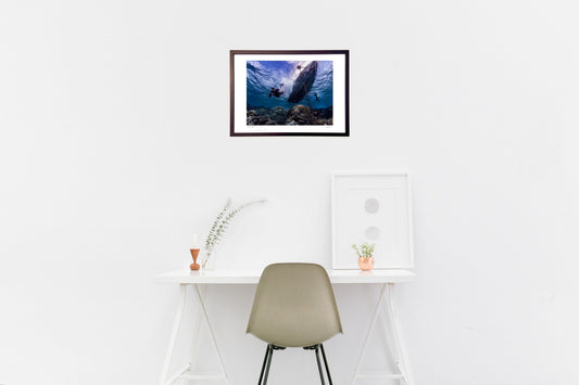 リゾートダイビング ミクロネシア連邦ヤップ島