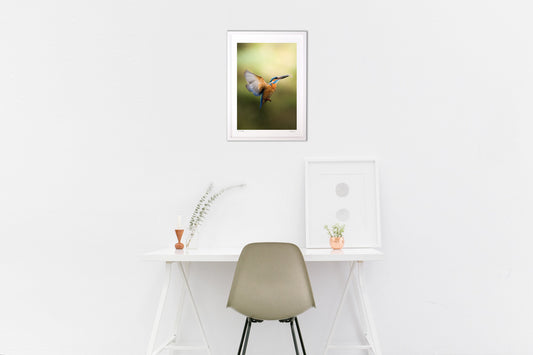 美しきハンター