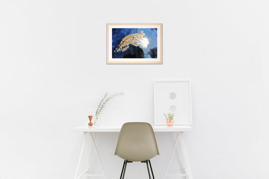 からっ風と枯れすすき