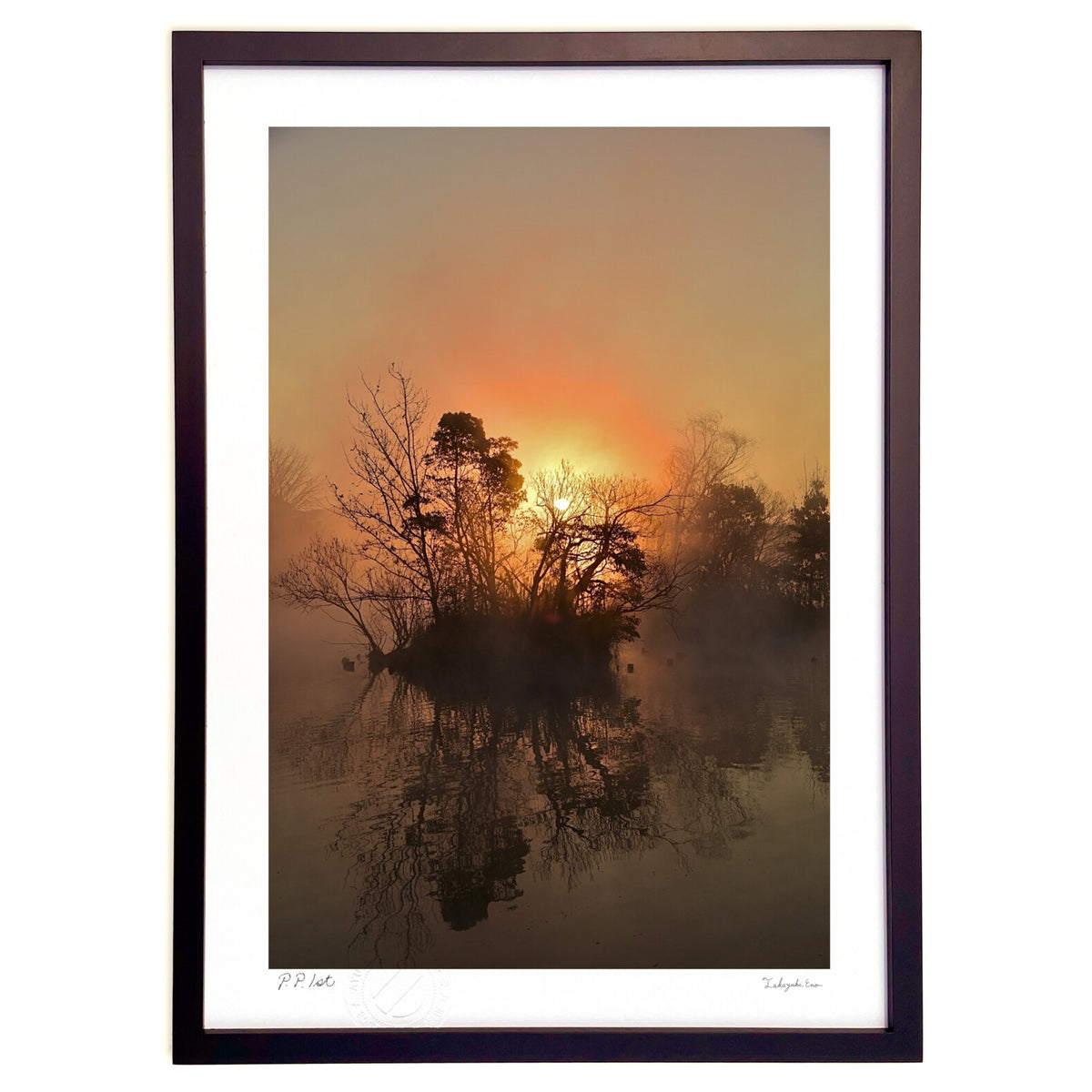 Foggy Morning