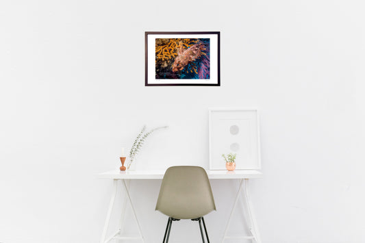 すぐに見つかる隠れんぼの名人