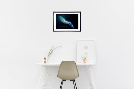 Twilight Timeのアオリイカ