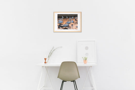 橙の川に白い群れ