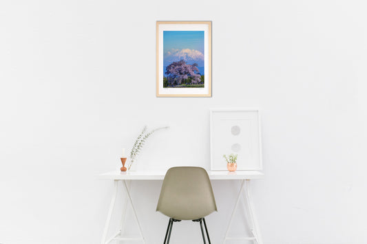 わに塚の一本桜