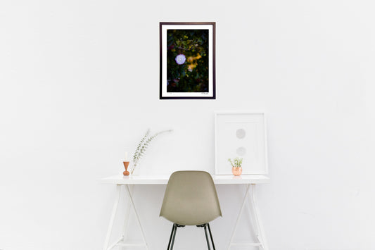 冬晴れの午後に