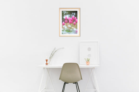 春待ちチューリップ