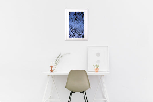 枯れ木のアート