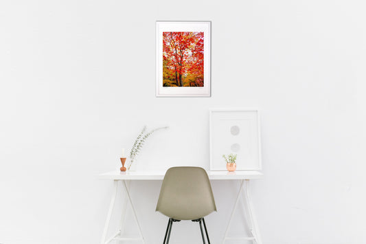 写真 大威徳寺の紅葉 (縦)